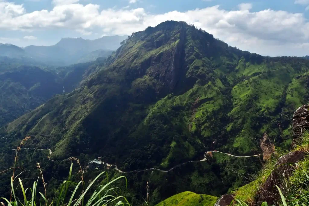 Paddy Trails - Scenic view of a large, lush green mountain on the Makulella to Ella hiking trail