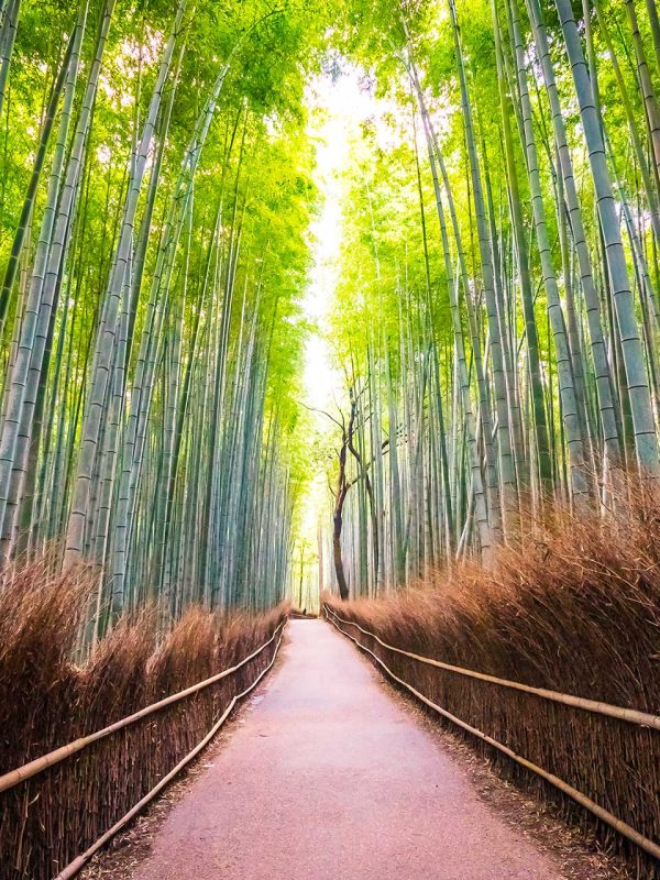 i-parallax-03-package-01